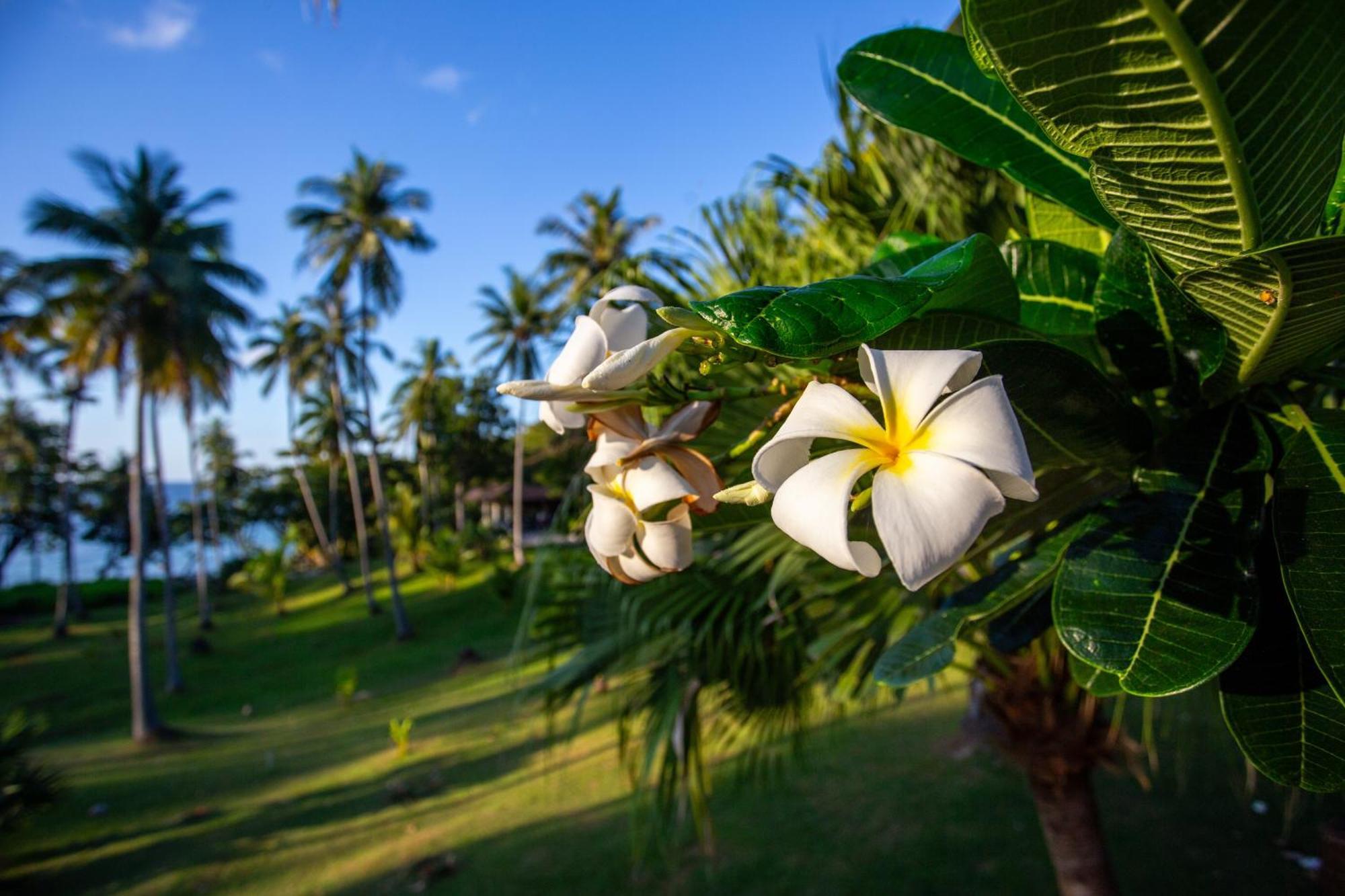 Ban Raya Resort And Spa Koh Racha Yai Bagian luar foto